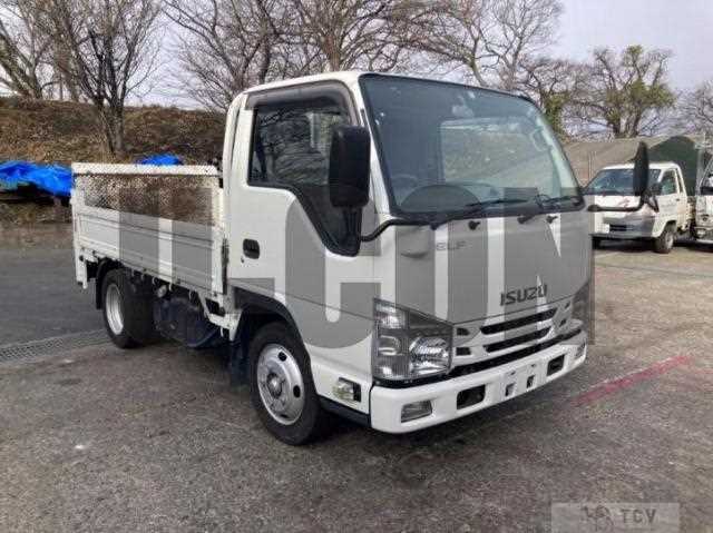 2018 Isuzu Elf Truck