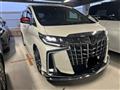 2022 Toyota Alphard G