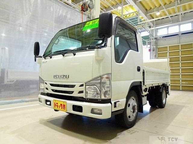 2019 Isuzu Elf Truck