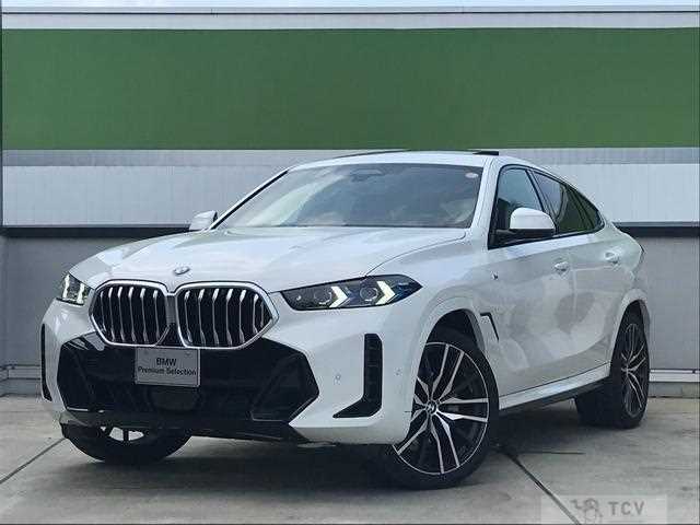 2025 BMW X6