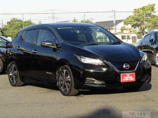 2019 Nissan Leaf