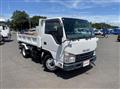 2017 Isuzu Elf Truck