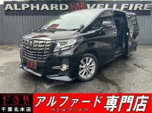 2017 Toyota Alphard G