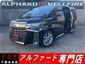 2020 Toyota Alphard G