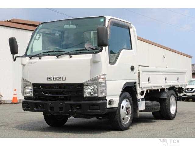 2017 Isuzu Elf Truck