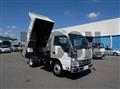 2021 Isuzu Elf Truck