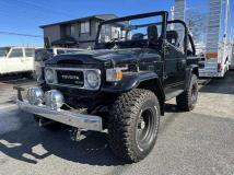 1981 Toyota Land Cruiser