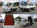 2017 Isuzu Elf Truck