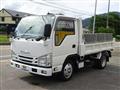2017 Isuzu Elf Truck