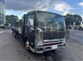 2017 Isuzu Elf Truck