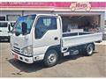 2019 Isuzu Elf Truck