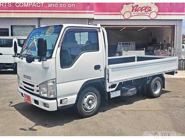 2019 Isuzu Elf Truck