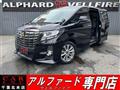 2017 Toyota Alphard G