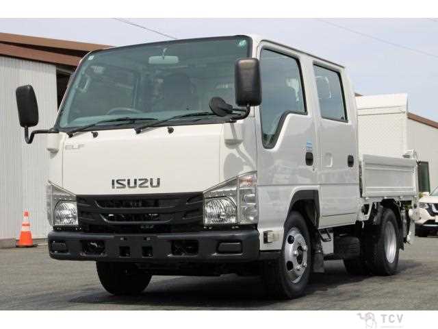 2019 Isuzu Elf Truck