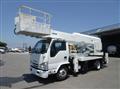 2017 Isuzu Elf Truck