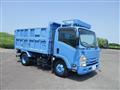 2017 Isuzu Elf Truck