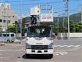 2017 Isuzu Elf Truck