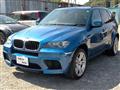 2010 BMW X5