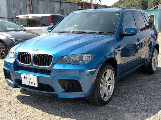 2010 BMW X5