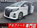 2017 Toyota Alphard G