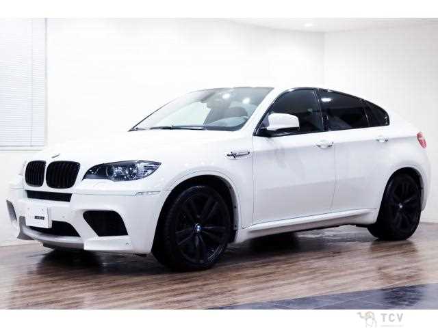 2011 BMW X6