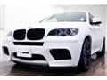 2011 BMW X6