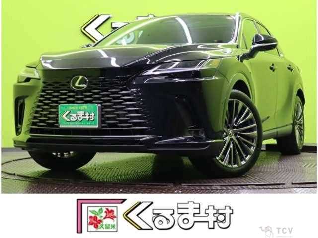2024 Lexus RX