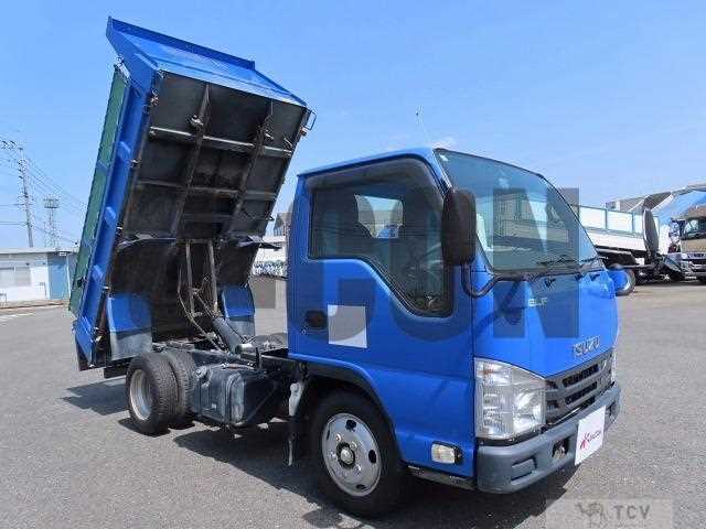 2019 Isuzu Elf Truck