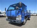 2018 Isuzu Elf Truck