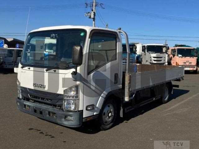 2018 Isuzu Elf Truck