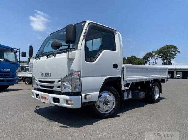 2019 Isuzu Elf Truck