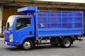 2019 Isuzu Elf Truck