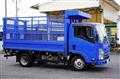 2019 Isuzu Elf Truck