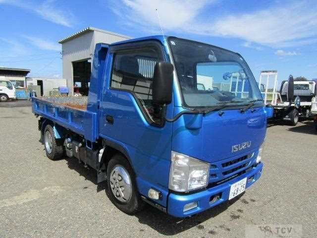 2020 Isuzu Elf Truck