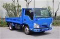 2018 Isuzu Elf Truck