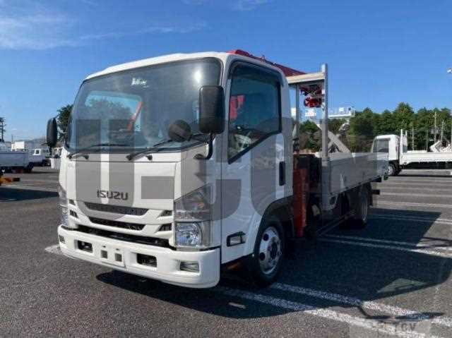 2019 Isuzu Elf Truck