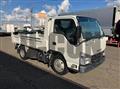 2019 Isuzu Elf Truck