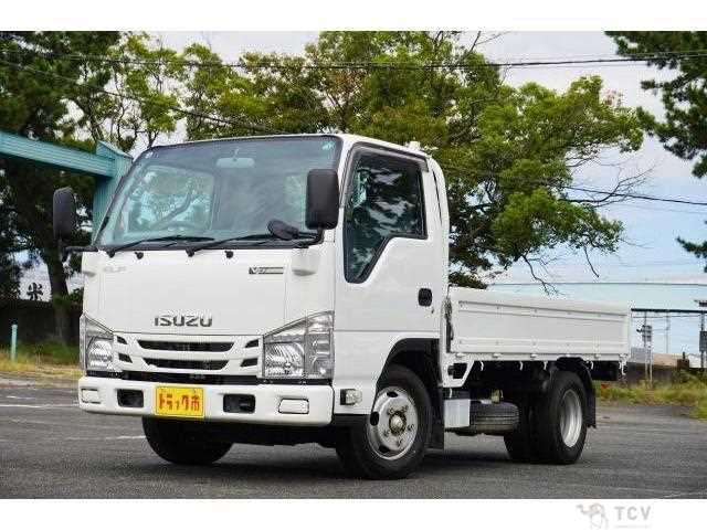 2017 Isuzu Elf Truck