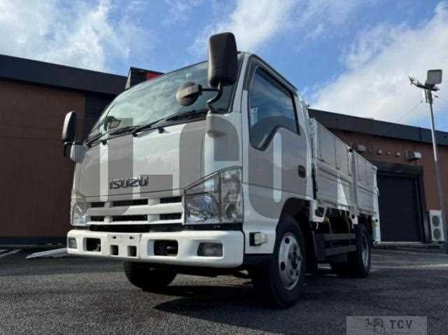 2011 Isuzu Elf Truck