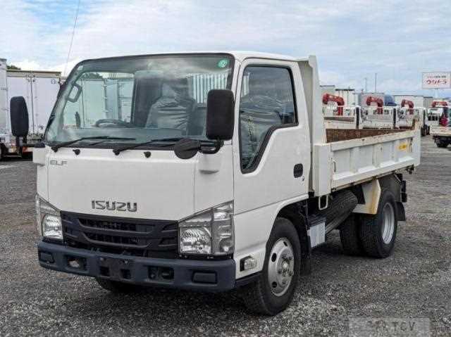 2019 Isuzu Elf Truck