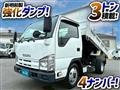 2010 Isuzu Elf Truck
