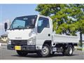 2018 Isuzu Elf Truck