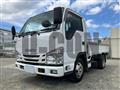 2019 Isuzu Elf Truck