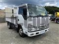 2019 Isuzu Elf Truck