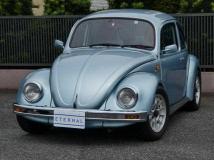 2001 Volkswagen Beetle