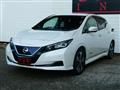 2021 Nissan Leaf