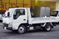 2019 Isuzu Elf Truck