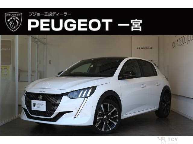 2023 Peugeot Peugoet Others