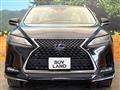 2019 Lexus RX