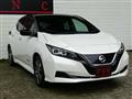 2019 Nissan Leaf